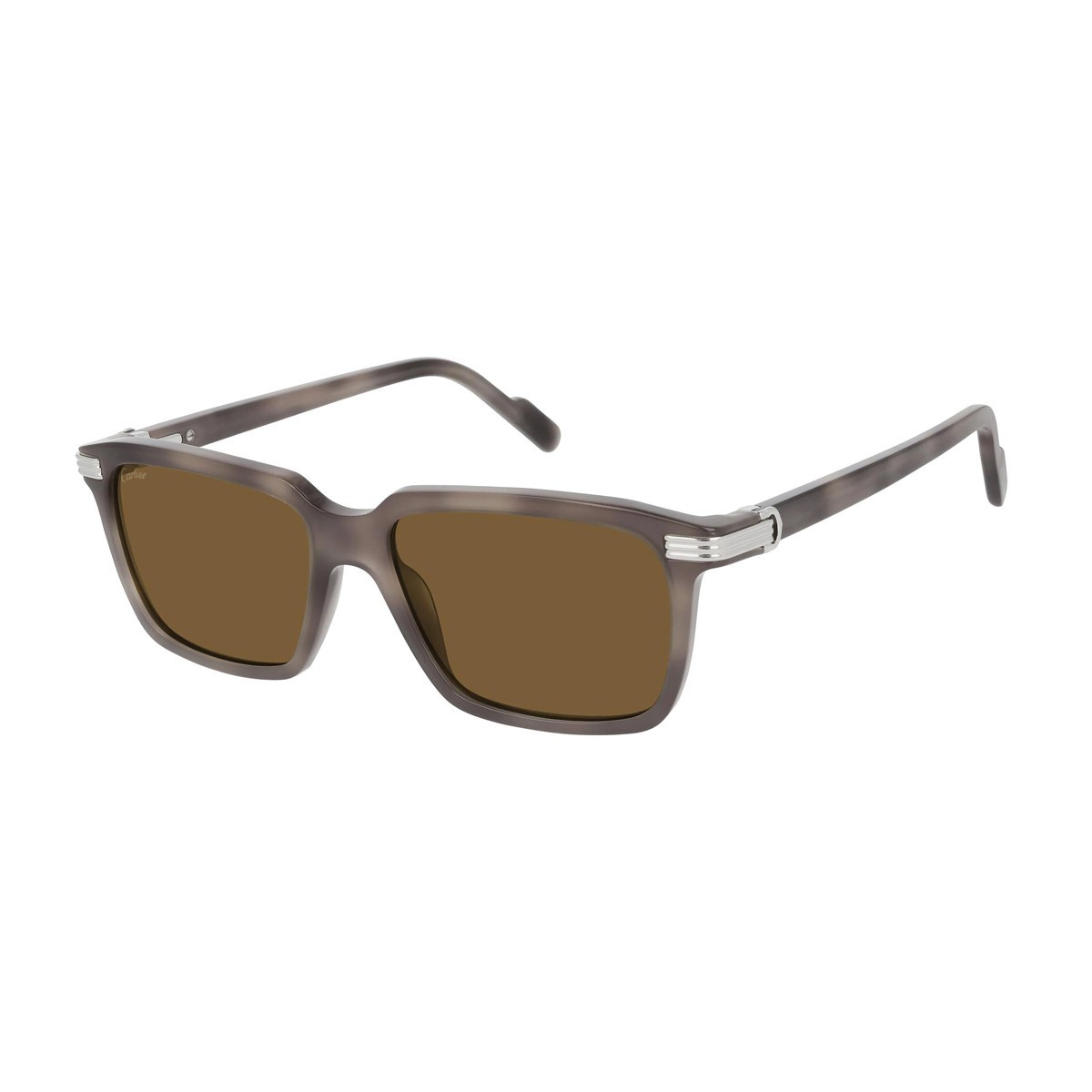 Cartier CT0220S | Men's sunglasses