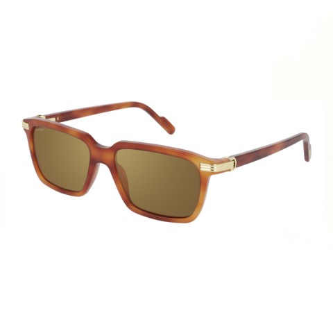 Cartier CT0220S | Women's sunglasses