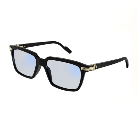 Cartier CT0220S Fotocromatico | Men's sunglasses