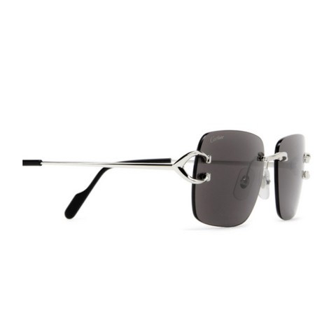 Cartier CT0330S | Men's sunglasses
