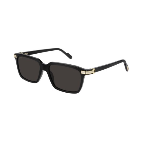 Cartier CT0220S | Men's sunglasses