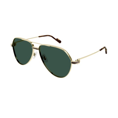 Cartier CT0334S | Unisex sunglasses