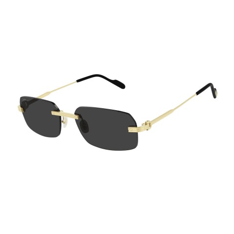 Cartier CT0271S | Unisex sunglasses