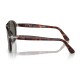 Persol PO0649 24/31 | Men's sunglasses