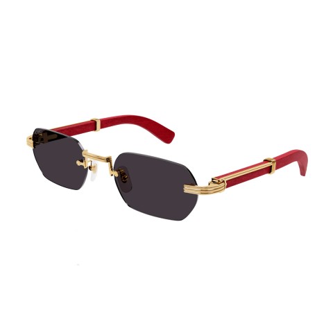 Cartier CT0362S | Unisex sunglasses