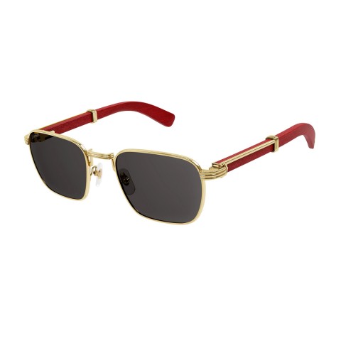 Cartier CT0363S | Unisex sunglasses