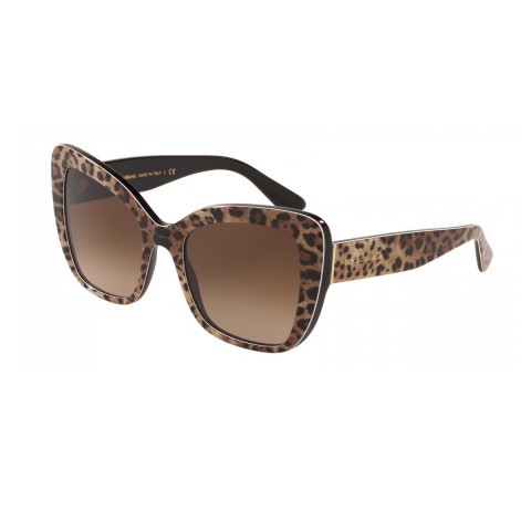 Dolce & Gabbana DG4348 Print Family | Women's sunglasses