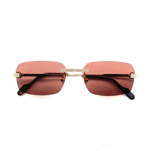 Cartier CT0271S LINEA CORE RANGE | Unisex sunglasses