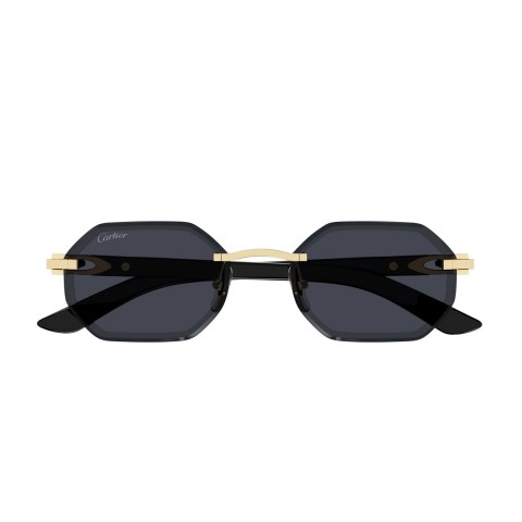 Cartier CT0439S Signature C de Cartier | Occhiali da sole Unisex