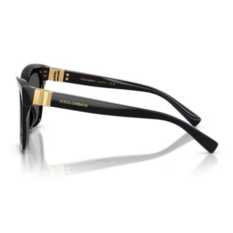 Dolce & Gabbana DG4498 DG Hinge | Woman sunglasses