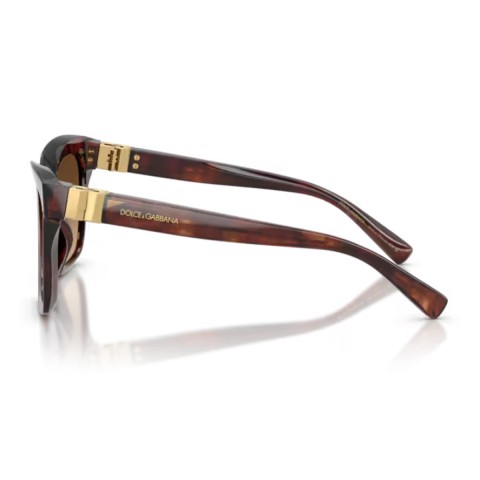 Dolce & Gabbana DG4498 DG Hinge | Woman sunglasses