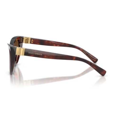 Dolce & Gabbana DG4497 DG Hinge | Woman sunglasses