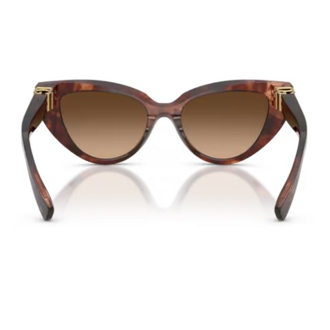 Dolce & Gabbana DG4497 DG Hinge | Woman sunglasses
