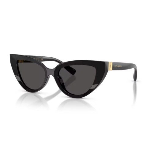 Dolce & Gabbana DG4497 DG Hinge | Woman sunglasses