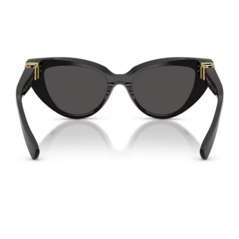 Dolce & Gabbana DG4497 DG Hinge | Woman sunglasses