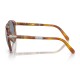 Persol PO00714SM Steve McQueen - Exclusive | Occhiali da sole Uomo