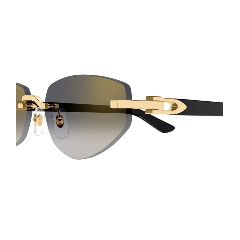 Cartier CT0580S Décor C Allongé de Cartier | Unisex sunglasses