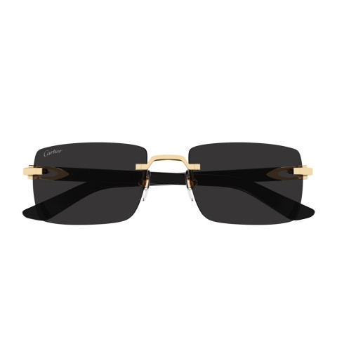 Cartier CT0579S Décor C Allongé de Cartier | Occhiali da sole Uomo