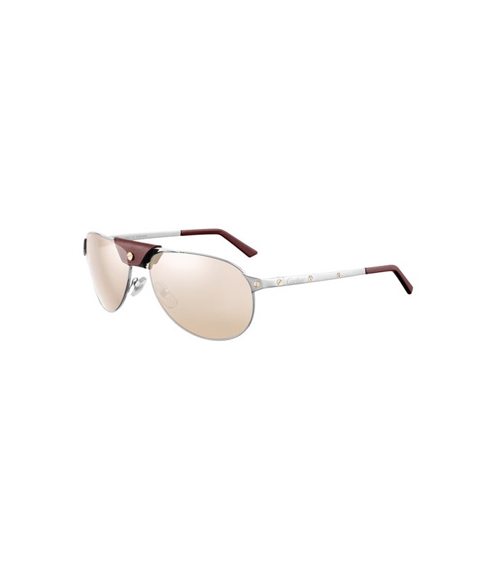 Cartier Santos Dumont Golden Eye | Unisex sunglasses